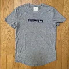 Abercrombie&Fitch Tシャツ Sサイズのサムネイル
