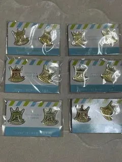 【未使用】 嵐 会場限定 ピンバッチ セット