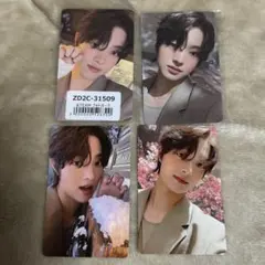 &team EJ トレカ ウィジュ 雪明かり セット