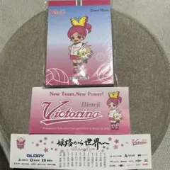 ヴィクトリーナ姫路　メモ帳　ステッカー2枚セット