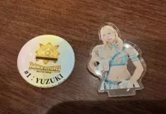 女子プロレス マリーゴールド ランダムアクスタ4弾 岩谷麻優 アクリル
