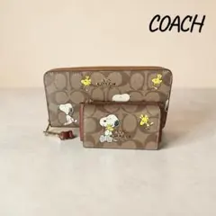COACH × PEANUTSスヌーピー 長財布 キーケース セット レディース