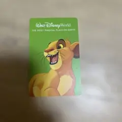 フロリダディズニー　Key to the World Card