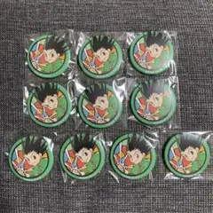 HUNTER×HUNTER ハンターハンター ゴン 和紙缶バッジ