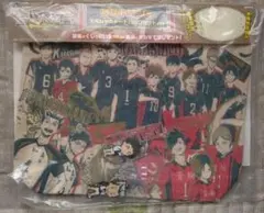 ハイキュー ラストワン賞 1番くじ ラバスト付き