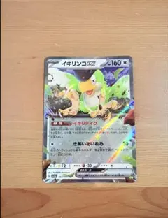 まとめ買い割引 イキリンコex 2枚300円〜
