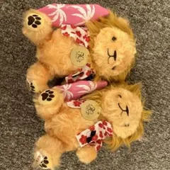 Item thumbnail for item 6b2f541b-32fb-494c-a93f-78b839c56f63