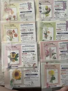 Item thumbnail for item b8c8cfc1-c916-475a-b9fc-8b8e239bc9e2