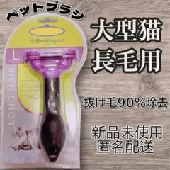 Item thumbnail for item 7aff18c7-86dd-4cfa-80e1-a6a89cf0601f