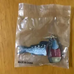 Item thumbnail for item 485b6fa7-f61d-483d-afcf-d510a22b4e91