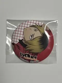 2026年最新】ハイドリ ハイキューの人気アイテム - メルカリ