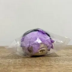 新品 未開封 あんスタ もちもちマスコット もちマス 乙狩アドニス キーホルダー