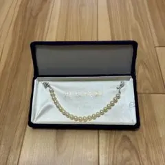 Item thumbnail for item 46ae0f23-293d-43f3-86d5-e45207f274cb