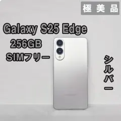 極美品】Galaxy S21 Plus 5G 256GB ほぼ未使用 - メルカリ