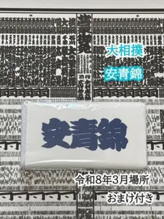 Item thumbnail for item 437cf003-f282-4c1d-9530-d681dd3341f3