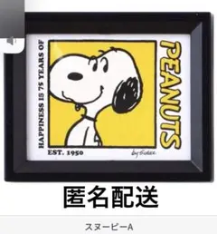 PEANUTS スヌーピー☆フレームマグネット ガチャガチャ