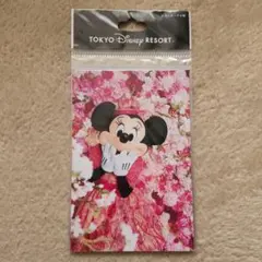 【未開封】ミニーマウス　ポストカード　セット