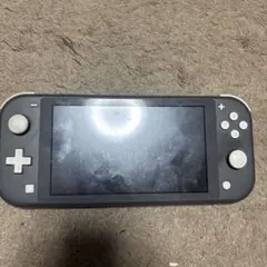Nintendo Switch Lite グレー 本体 ジャンク品