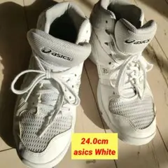 Item thumbnail for item 42d0a49f-502a-455a-9f8b-5b8c770ed70e