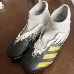 Item thumbnail for item c8d8bb5d-03d7-4ebd-a1ac-7536169cc3c0