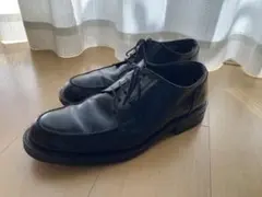 Item thumbnail for item 69133e46-b1c3-4205-9207-a3ab1e6c74d4