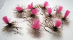 Item thumbnail for item bc2df764-fbb2-472c-b0f8-91e28e345f39