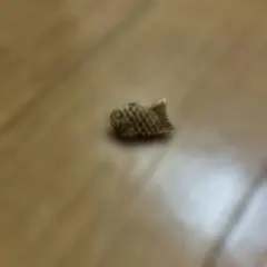たい焼きの画鋲