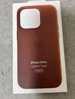 Item thumbnail for item 5f10fbb1-e129-4d90-bb3a-6c082550919f