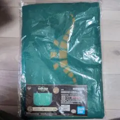 ゼルダの伝説　一番くじ　C賞 古びたトーガ風ブランケット