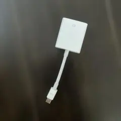 Apple Genuine Mini DisplayPort to VGA Adapter