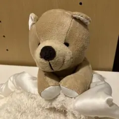 Item thumbnail for item ec5e67f6-e61f-4fbc-8833-4646a12847bf