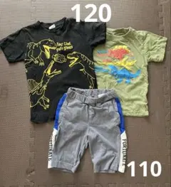 恐竜　Tシャツ 120 2枚 &パンツ 110 セット