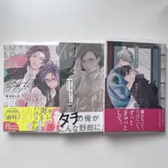 かんしゃく玉のラブソング　俺がお前に何をした 落花流水のホシ　鈴丸みんた　BL