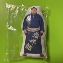 Item thumbnail for item 4eac0fba-80fc-435f-84f9-e76bea5afc86