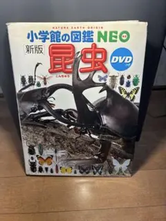 小学校の図鑑NEO 新版 昆虫 DVD