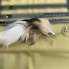 リアルファー しっぽキーホルダー