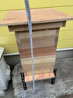 ニホンミツバチ ４面巣門台　３段