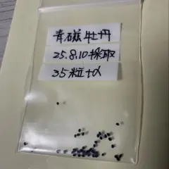 つけ麺様 リクエスト 2点 まとめ商品