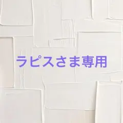 ラピスさま専用