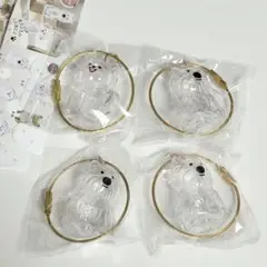 わんこのタイムカプセル　ラテ　モコ　けだまカプセル