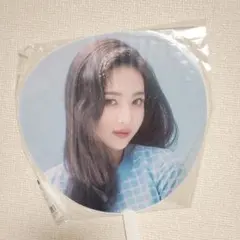 2026年最新】redvelvet ジョイの人気アイテム - メルカリ