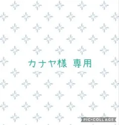 カナヤ様 専用