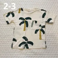 ASMMSR様 リクエスト 2点 まとめ商品