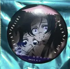 鬼滅の刃 無限城編 缶バッジ 胡蝶しのぶ・胡蝶カナエ