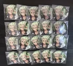 Dr.STONE 石神千空 mixx garden BIGマット缶バッジ - メルカリ