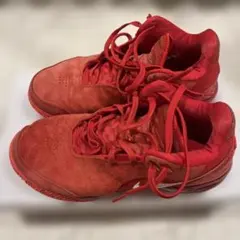 Nike LEBRON NXXT GEN バスケットボールシューズ レブロン