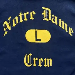 極上！3段！超良プリント！90s チャンピオン リバースウィーブ L USA製