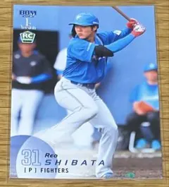 BBM 2025 1st 日本ハム 柴田獅子 ルーキーカード