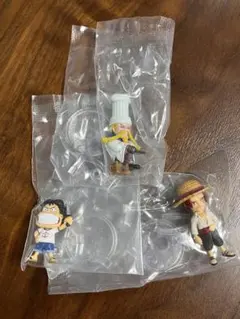 ワンピース ワンピの実