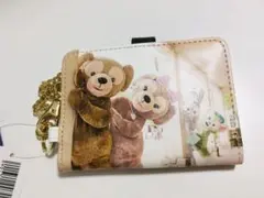 TDS ダッフィー 実写パスケース　新品未使用